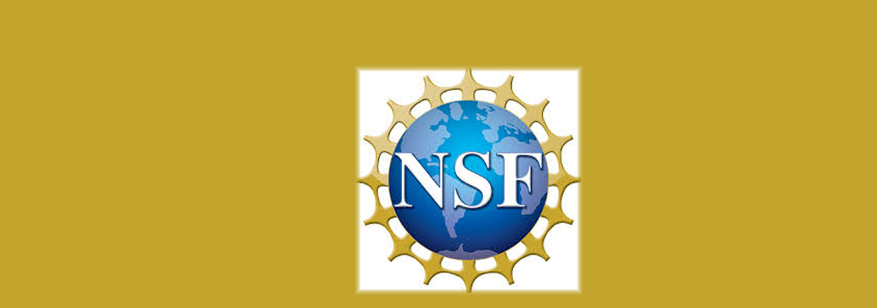 banner with NSF logo for the 2019 career awards marquee