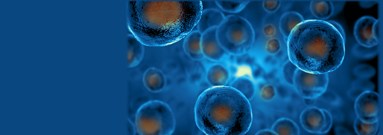 embryonic stem cells