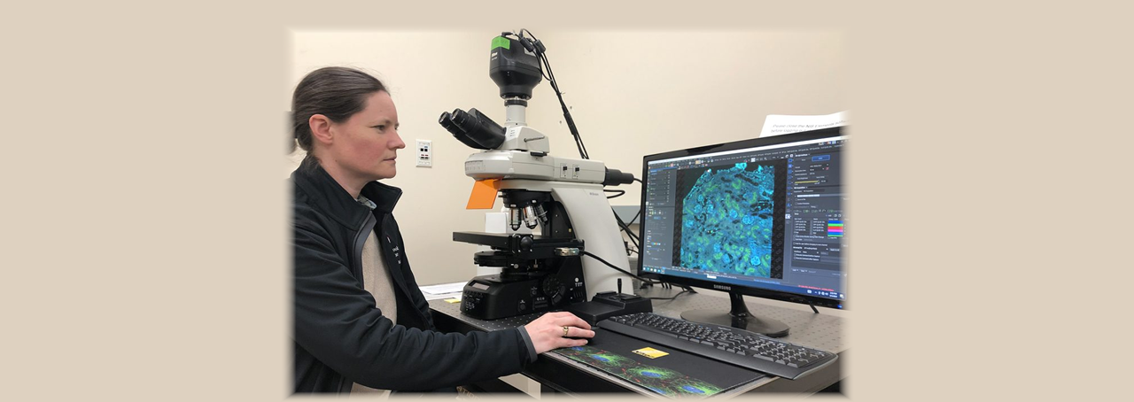 Sian Piret, researcher, Renaissance School of Medicine at Stony Brook University at her lab