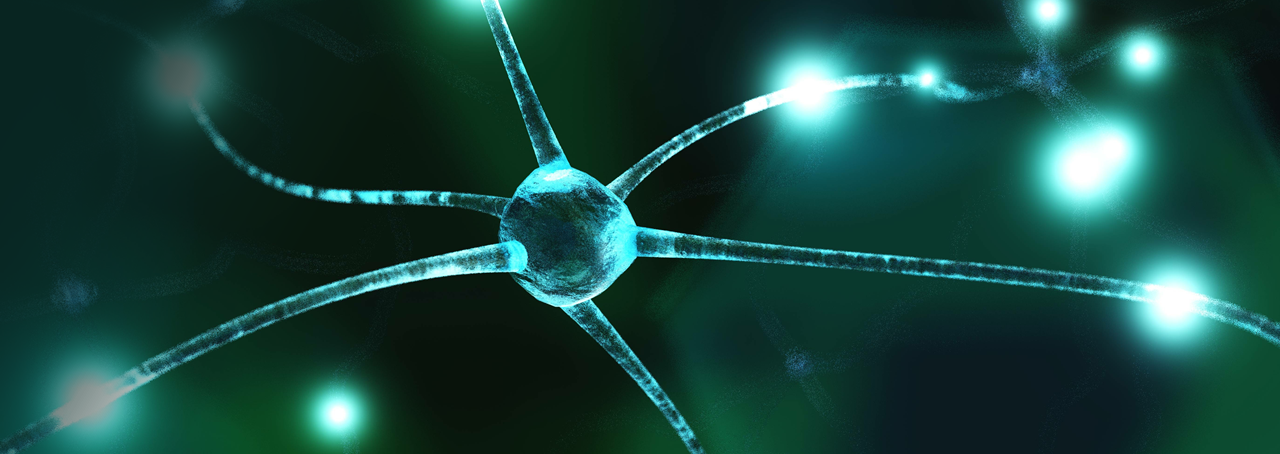 neural network 3d rendering