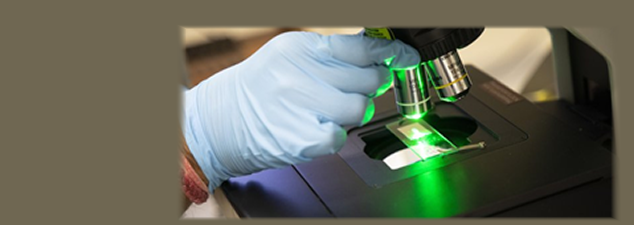 Rama spectroscopy being used on a sample
