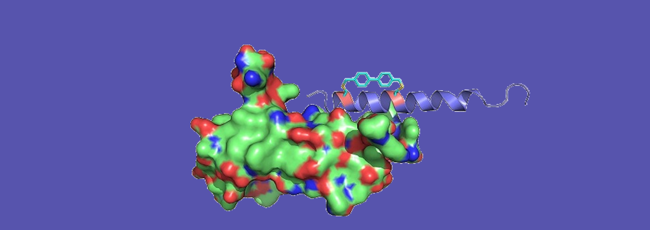 image of modified hormone