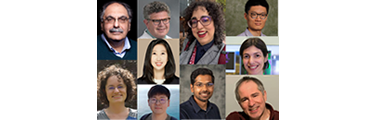 Collage of photos of faculty members who received funds from the AI Innovation Institute (AI3) at Stony Brook University