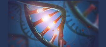 Realistic illustration of RNA and DNA strands
