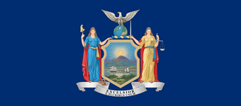logo for the New York State Senate