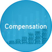icon for compensation section