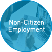 icon for non-citizen employment section