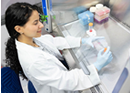 Person in a white lab coat works inside a laboratory biosafety cabinet, handling small containers and laboratory tools with gloved hands. Clear protective panels surround the workspace, and racks of tubes and supplies are visible inside the sterile environment