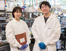 From left PhD students Zuer Wu and Chen Lin standing in the biomedical engineering lab at the Thomas J. Watson College of Engineering and Applied Science