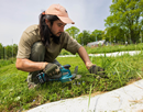 Biological Sciences doctoral student Timothy Kurpiewski conducts research at the Pasture and Lawn Enhanced Diversity Global-change Experiment (PLEDGE), an experimental lawn facility in Nuthatch Hollow