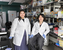 School of Pharmacy and Pharmaceutical Science students David Wang and Lun Nuam are working on two projects with Assistant Professor of Pharmaceutical Sciences Katie Edwards, reviewing antioxidant capacity and protection in invasive plant samples and root teas