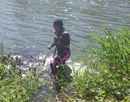 Person wearing waders collects samples or conducts fieldwork in shallow water along a grassy shoreline