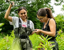 Students study Turtles for Summer Research