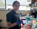 University at Albany’s graduate student Yasvi Sonani wearing purple latex gloves and a black T-shirt working with a pipette in a biology lab. The lab bench in front of her is covered in various plastic containers and lab equipment. Blue sky and fluffy white clouds are visible through the window behind her