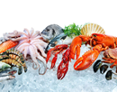 Fresh seafood on crushed ice