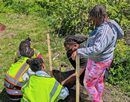A volunteer helping children plant a tree