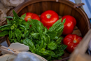 Fresh basil leaves and several ripe red tomatoes arranged in a wooden bowl. The vegetables are surrounded by brown paper and kitchen items at the edges of the image. The vibrant green basil contrasts with the bright red tomatoes, creating a close-up view of fresh produce often associated with cooking, nutrition, or food access