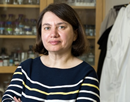 Upstate Medical University Dr. Mira Krendel in her office