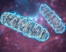 Gene NPAS3 generating energy in their mitochondria